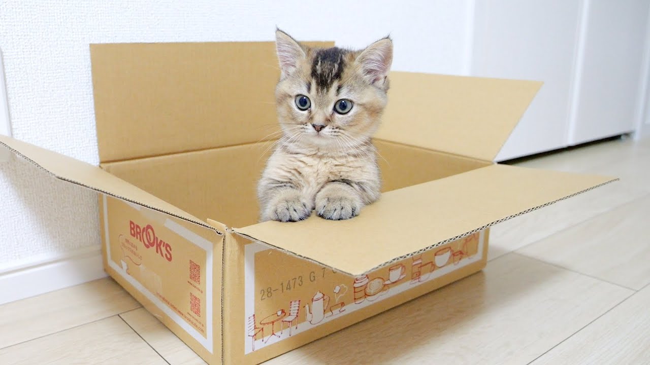 It's my box...