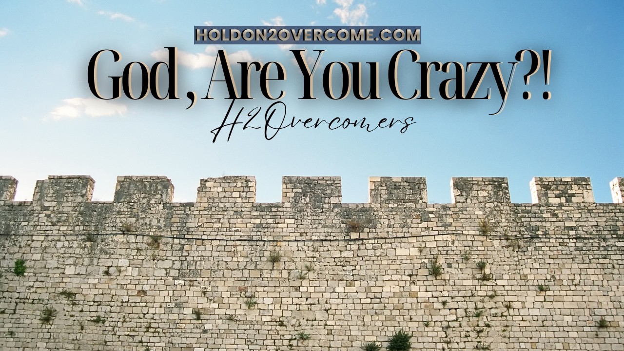God, Are You Crazy?!