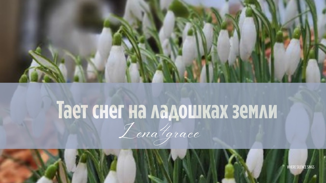 Тает снег на ладошках земли