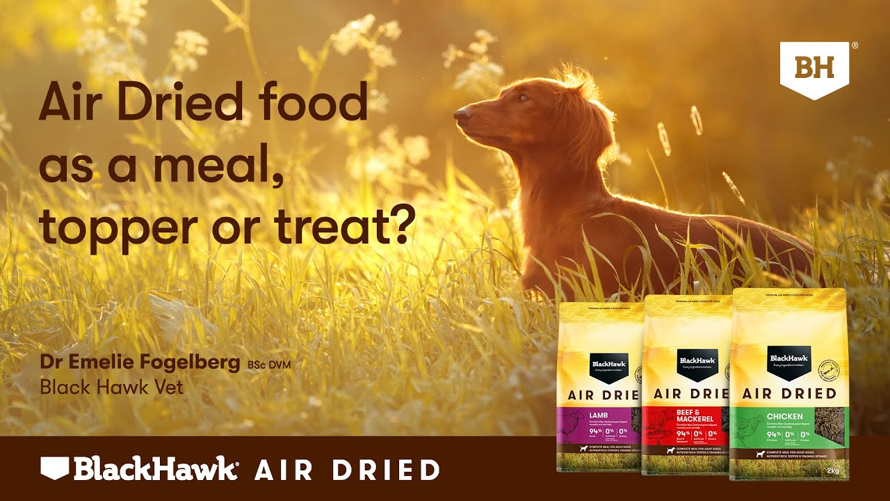 Air Dried - Food, Topper or Treat?