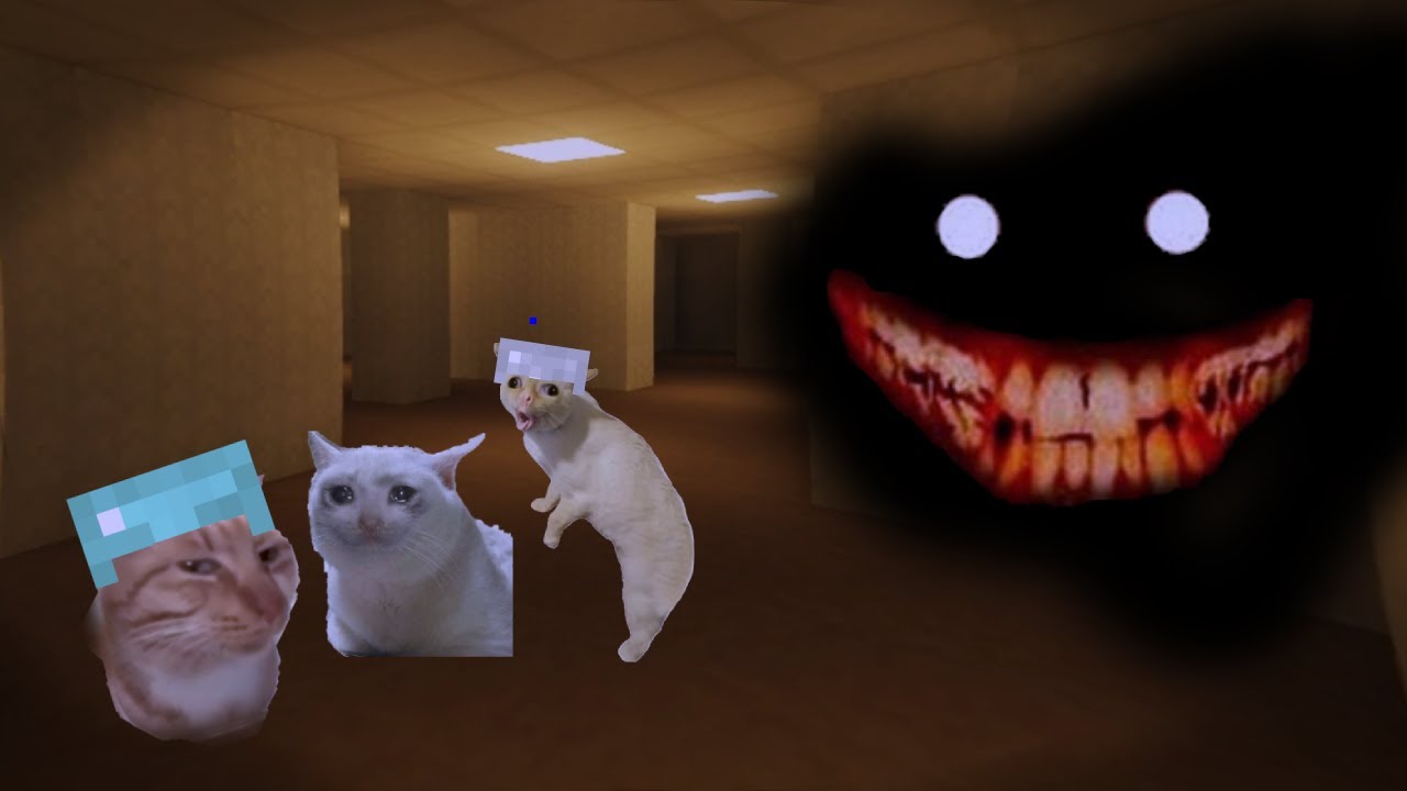 3 Idiots Try To Survive Minecraft BACKROOMS
