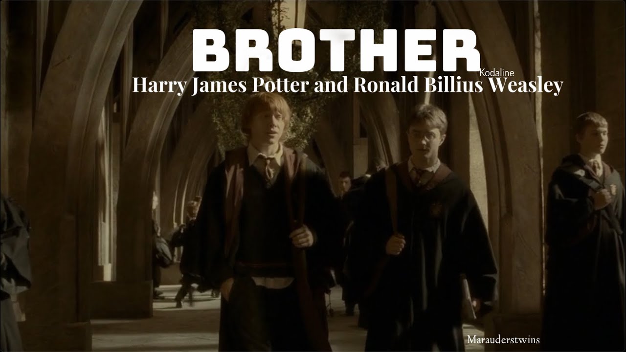Harry James Potter and Ronald Billius Weasley ~ I’ve got you brother