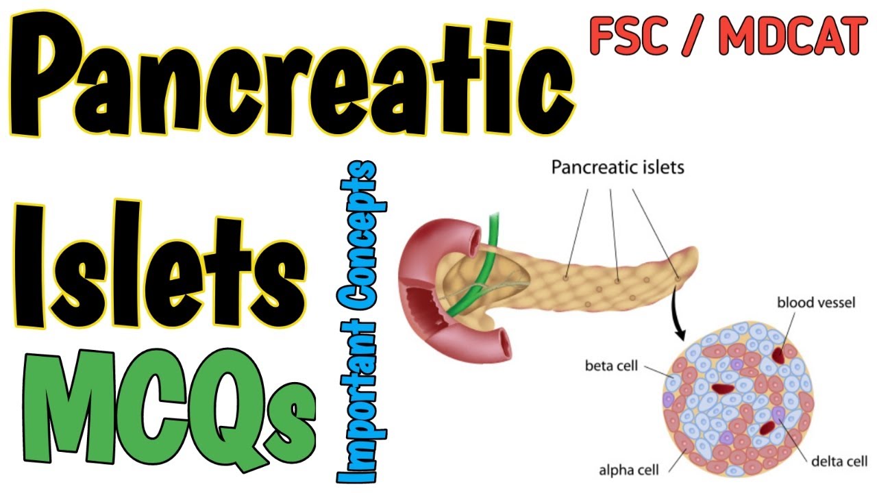 PANCREATIC ENDOCRINE CELLS | MCQS | CHEMICAL COORDINATION | FSC BIOLOGY and MDCAT | NEET