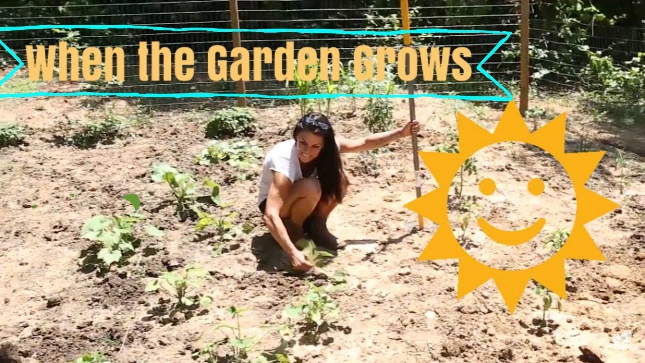 When the Garden Grows:)