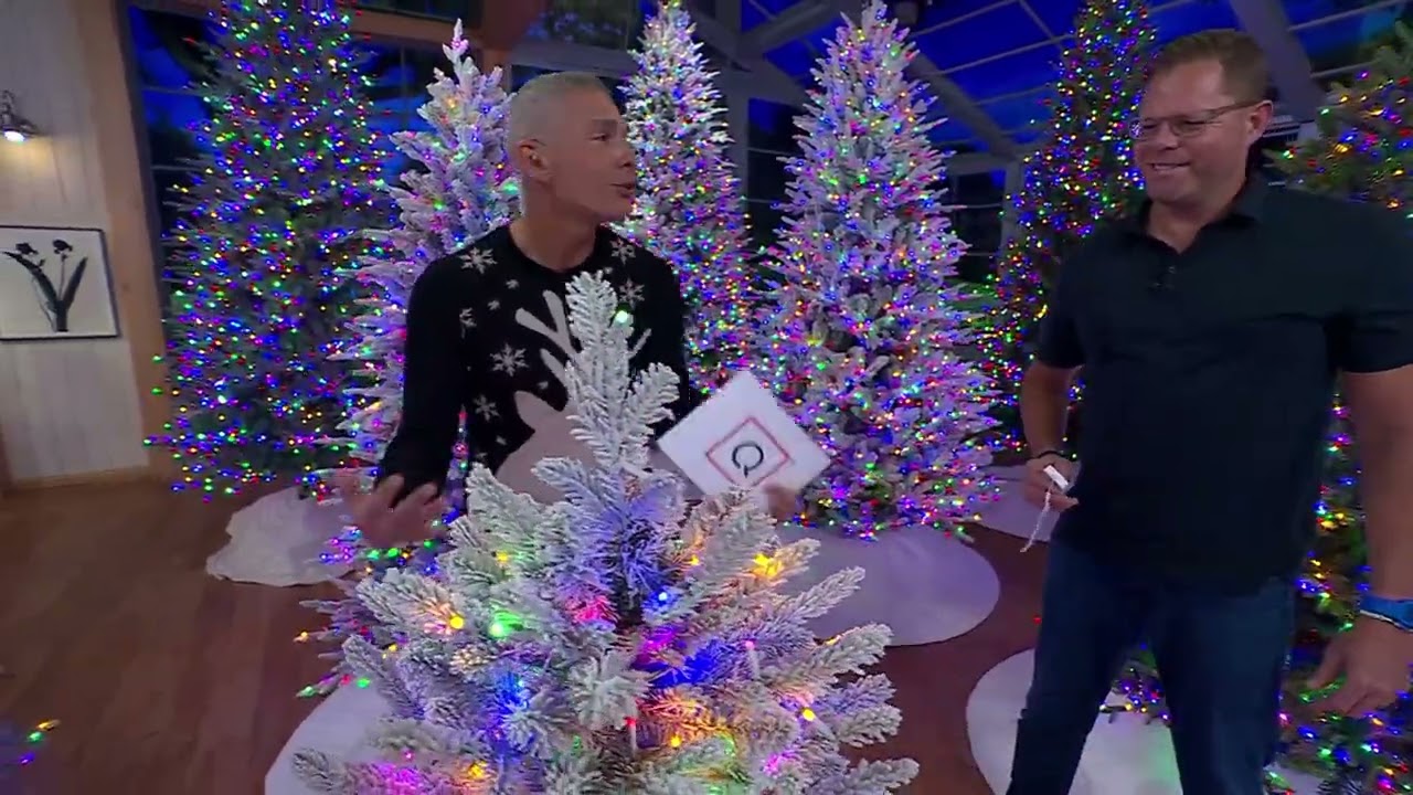 Bethlehem Lights Micro LED Christmas Tree w/ Storage Bag on QVC