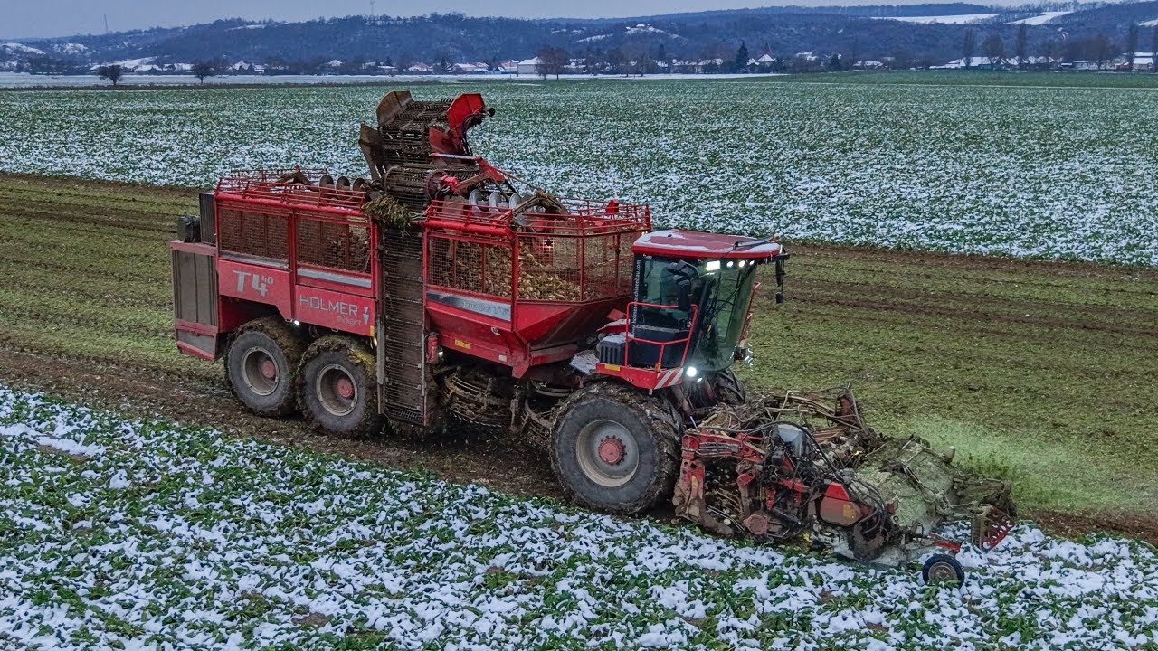 ❄️Cukrov&aacute; repa 2025 - 🔴 HOLMER Terra DOS T4.40, JOHN DEERE 8345R