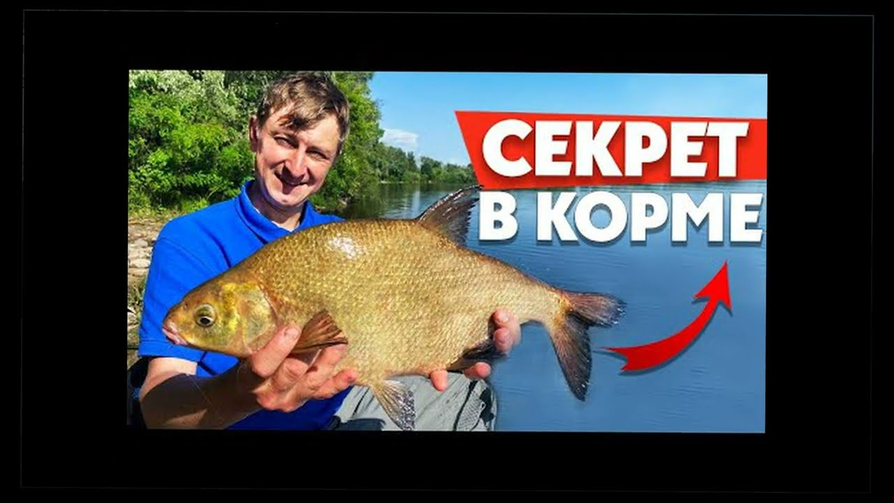 Вечерняя рыбалка, Апрельский клёв, Отдых и рыбалка.