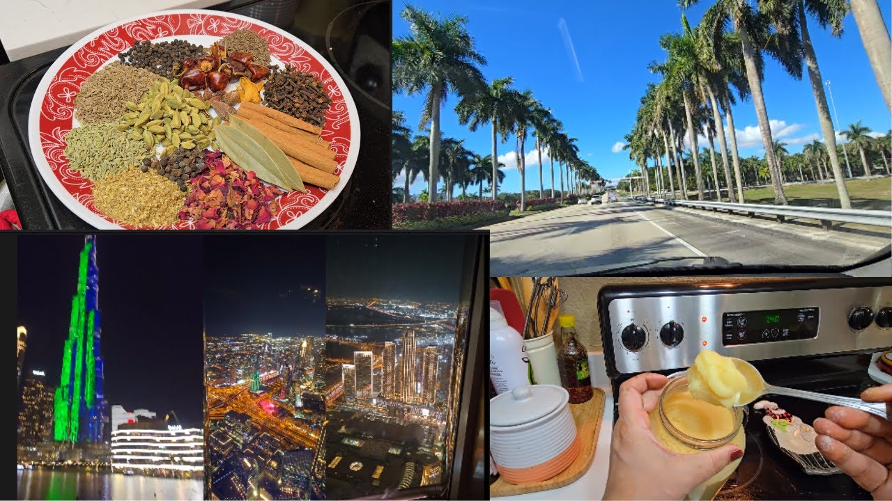 Back to USA Disaster Caught On Camera My Travel Vlog In Dubai #vlog #usa #travel #livetastybehappy