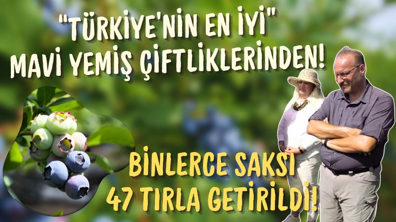 Türkiye’nin En İyi Mavi Yemiş Çiftliklerinden! / Binlerce Saksı 47 Tırla Getirildi!