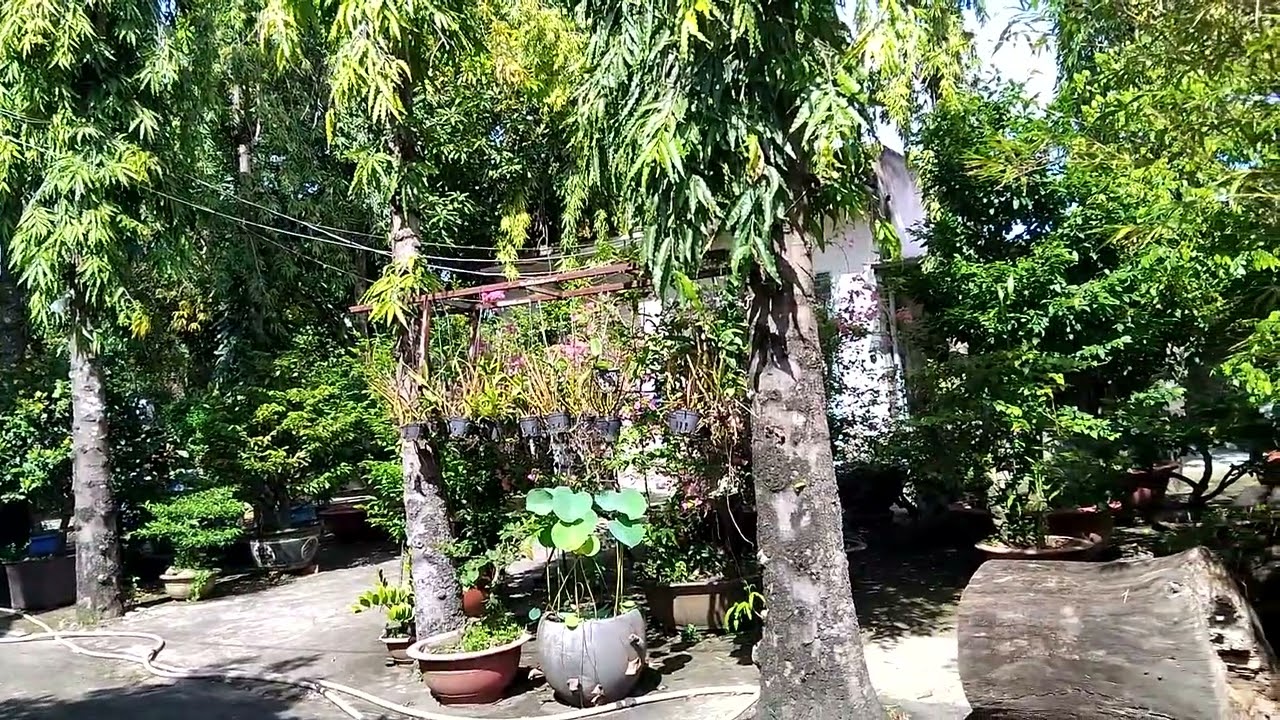 Thương Về Quán Trọ | NS Lê Mộng Bảo | Tuyệt phẩm của 2 Thanh Kẹo Kéo