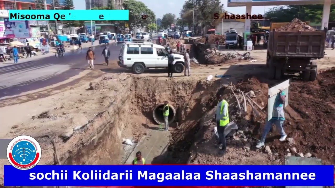 Sochii Misooma Koliidaraa Magaalaa Shaashamannee