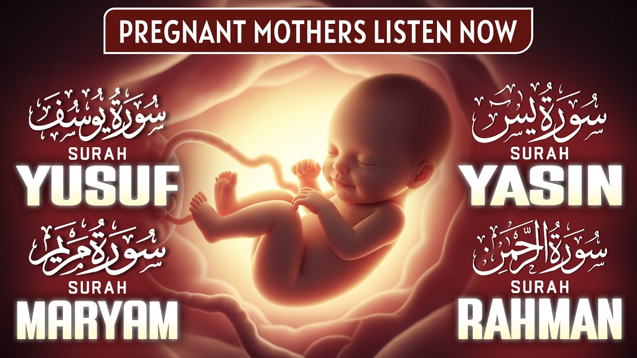 Surah Maryam | Yusuf | Yasin | Rahman | Pregnancy Healing Quran for Expecting Mothers | LISTEN NOW