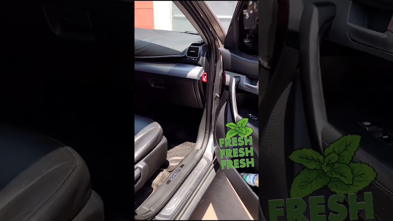 APLICACI&Oacute;N QUICK FRESH ACTIVE - 100ML