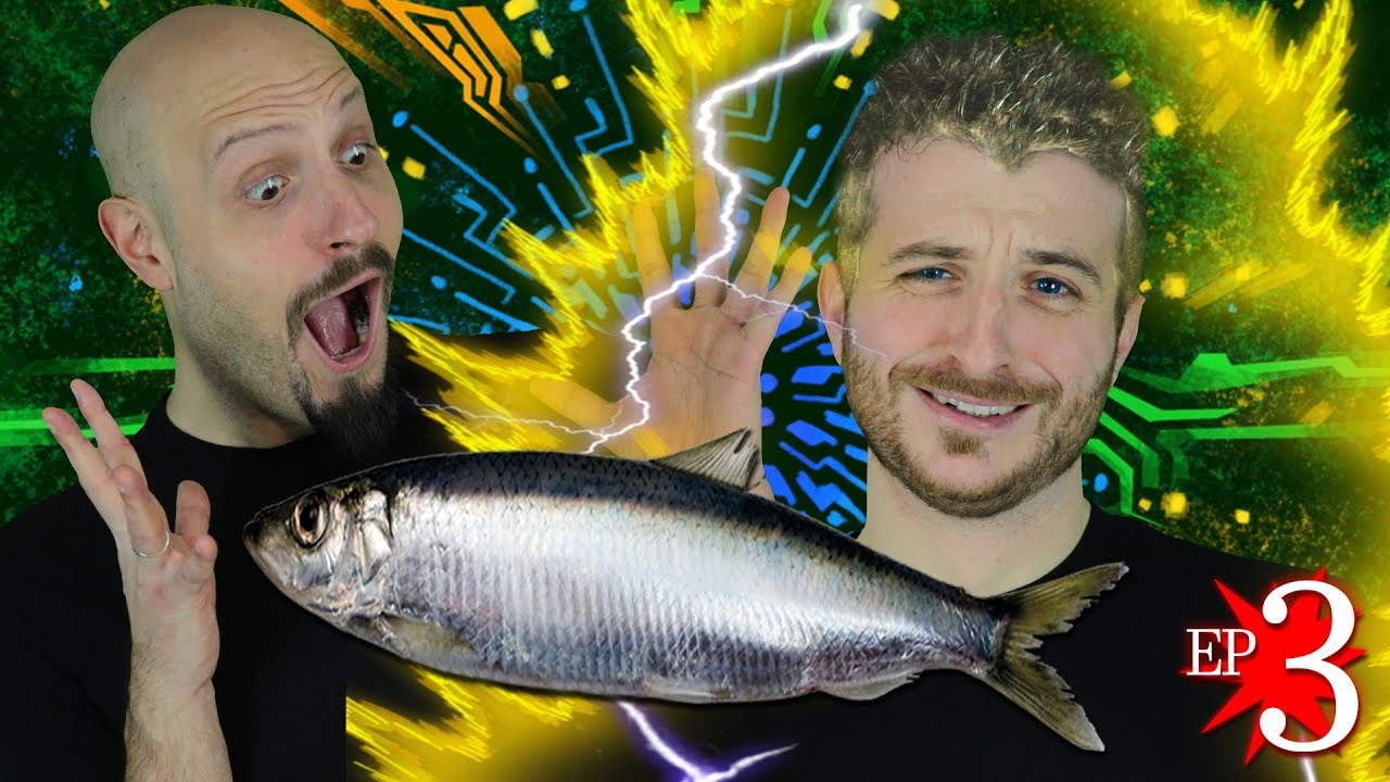 EPICO TORNEO DEI PESCETTI DEL MALE - Peggle