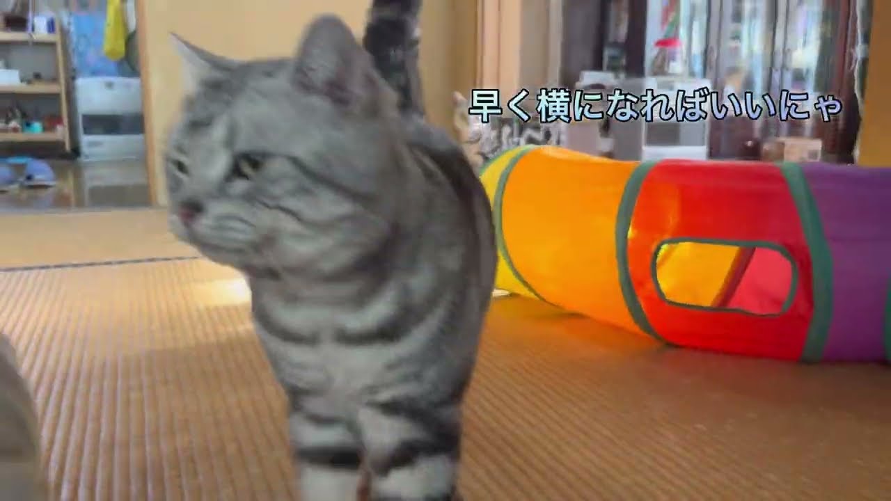 追いかけっこのゴールはどこ？