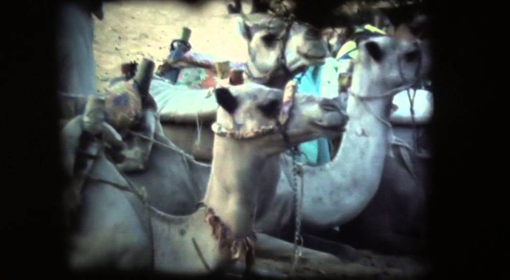 Surf Aid-Kit - Caïro (Official Video)