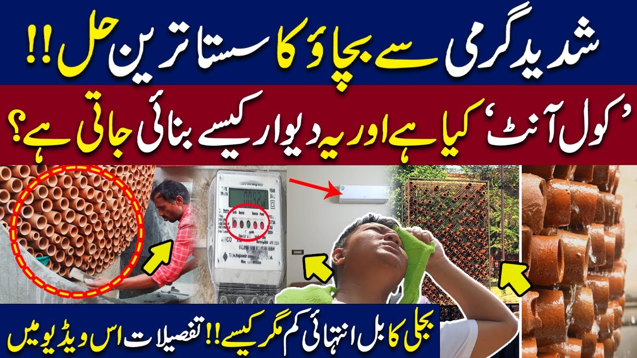 Beat the Heat with 'Cool Ant' Walls | Affordable Cooling Solution Explained | WE News
