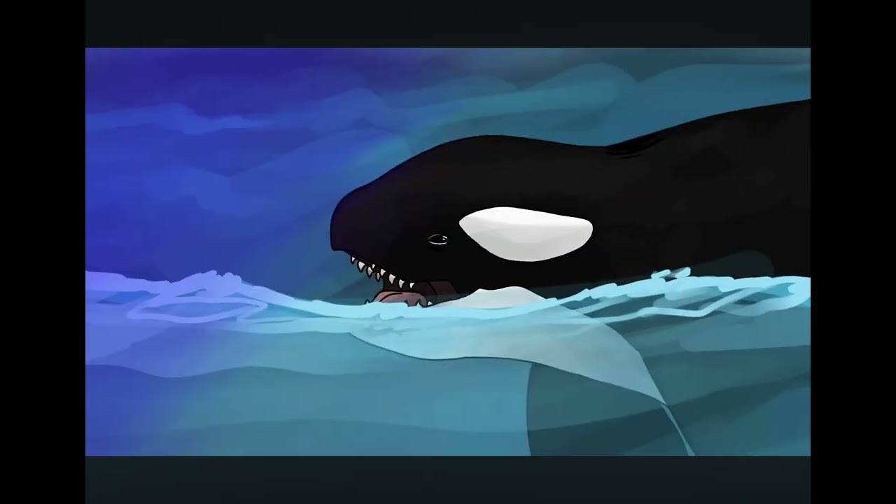 Oceán