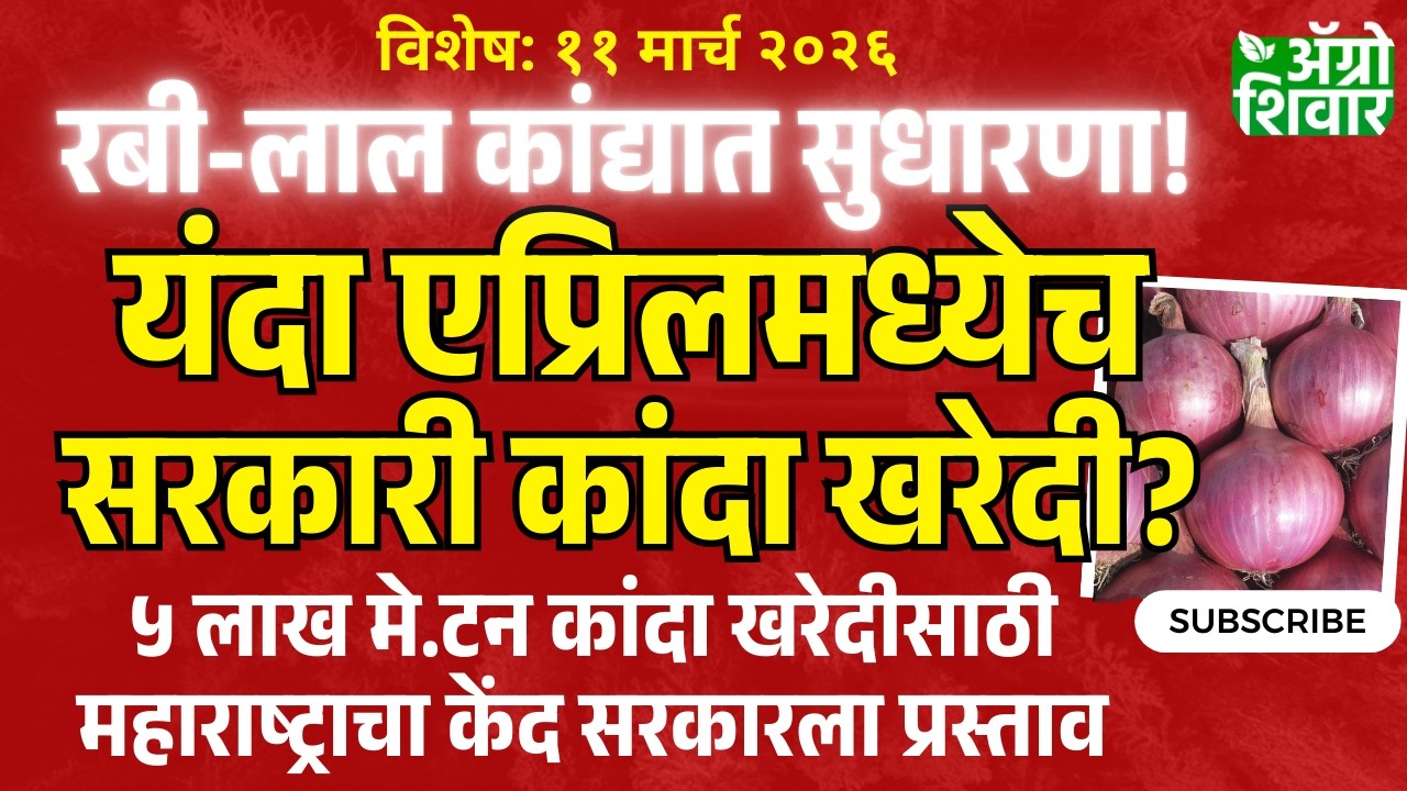 kanda bajar bhav | कांदा बाजार भाव सुधारणा; यंदा एप्रिलमध्येच होणार सरकारी कांदा खरेदी?
