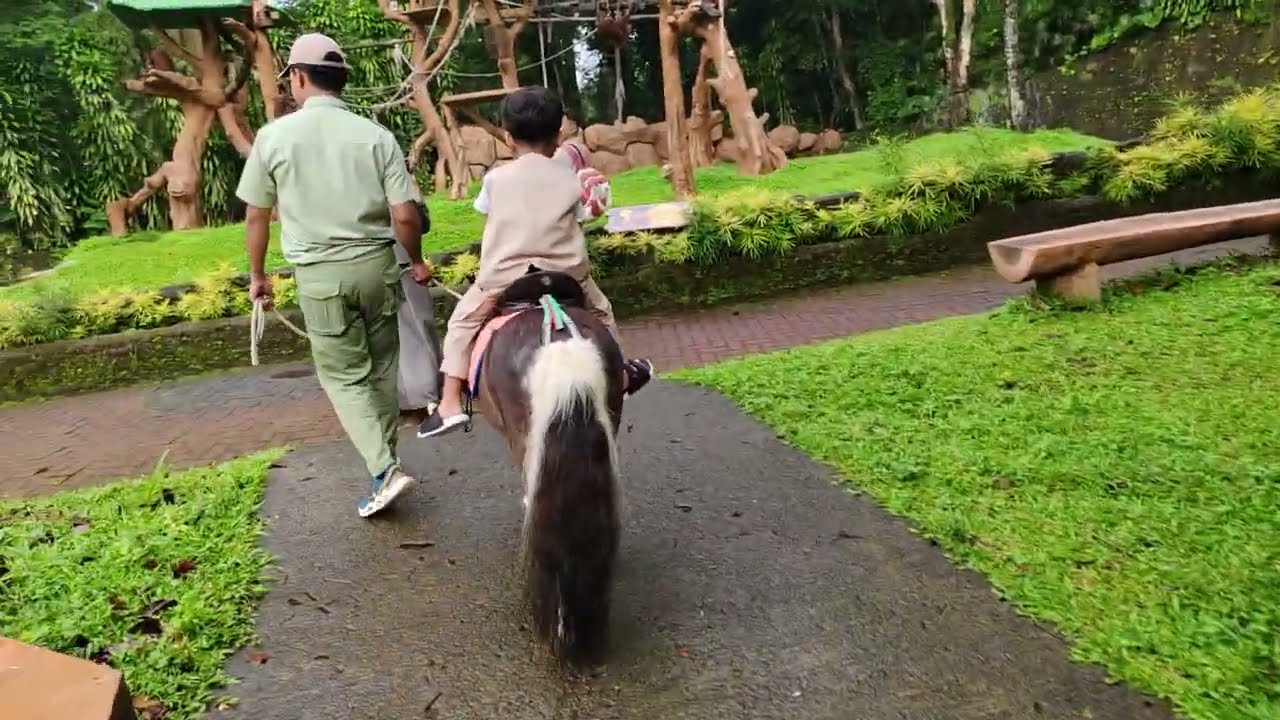 Taman safari part 8