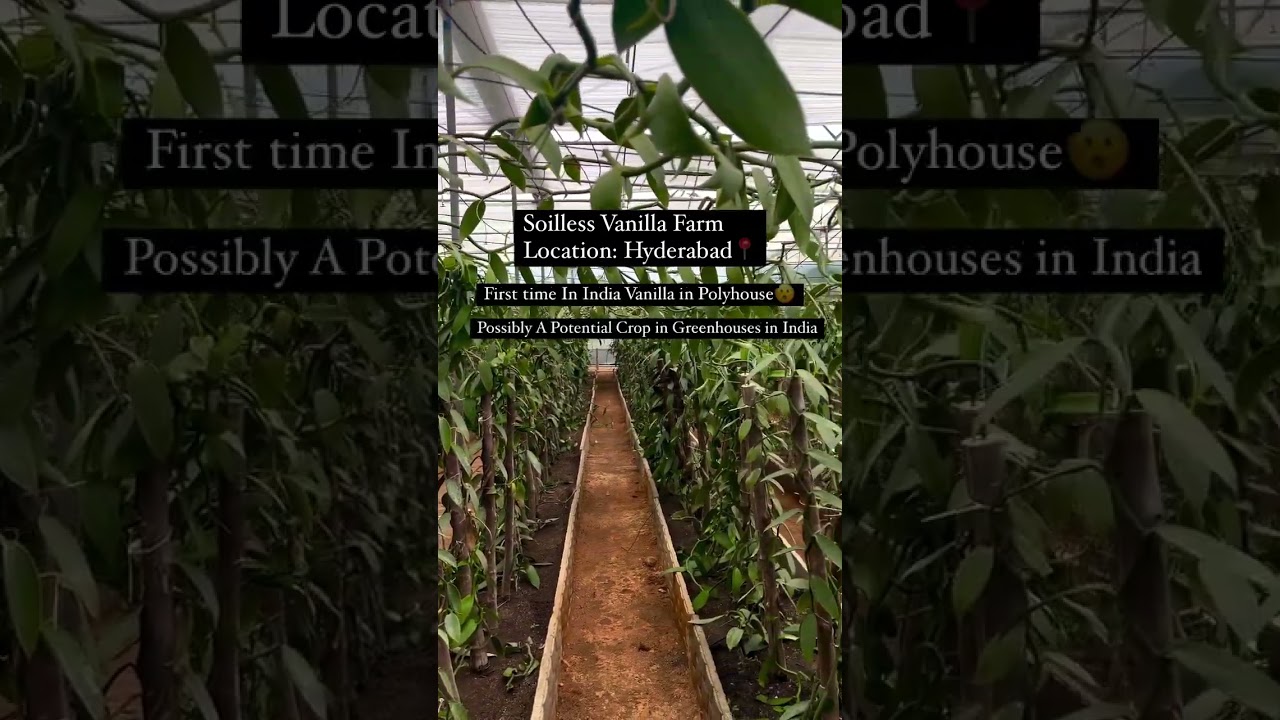 I want to start Vanilla Farming