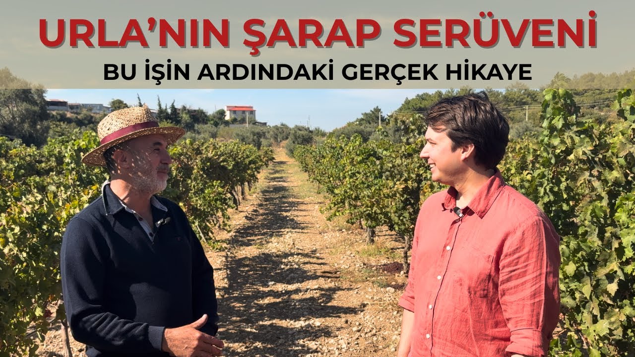 Urla'nın Şarap Ser&uuml;veni ve Bu işin Ardındaki Ger&ccedil;ek Hikaye