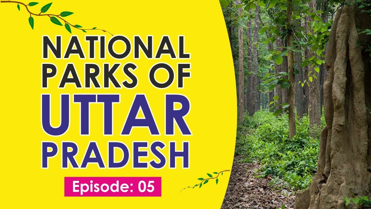 Amangarh Tiger Reserve & Hastinapur Wildlife Sanctuary #uppcs2021 #uttarpradeshnationalpark