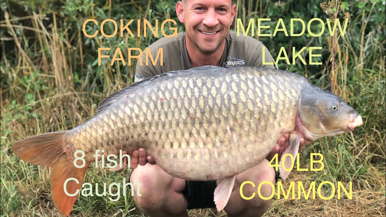 Coking farm , Meadow lake , BIGGEST HIT EVER , RED LETTER SESSION, 