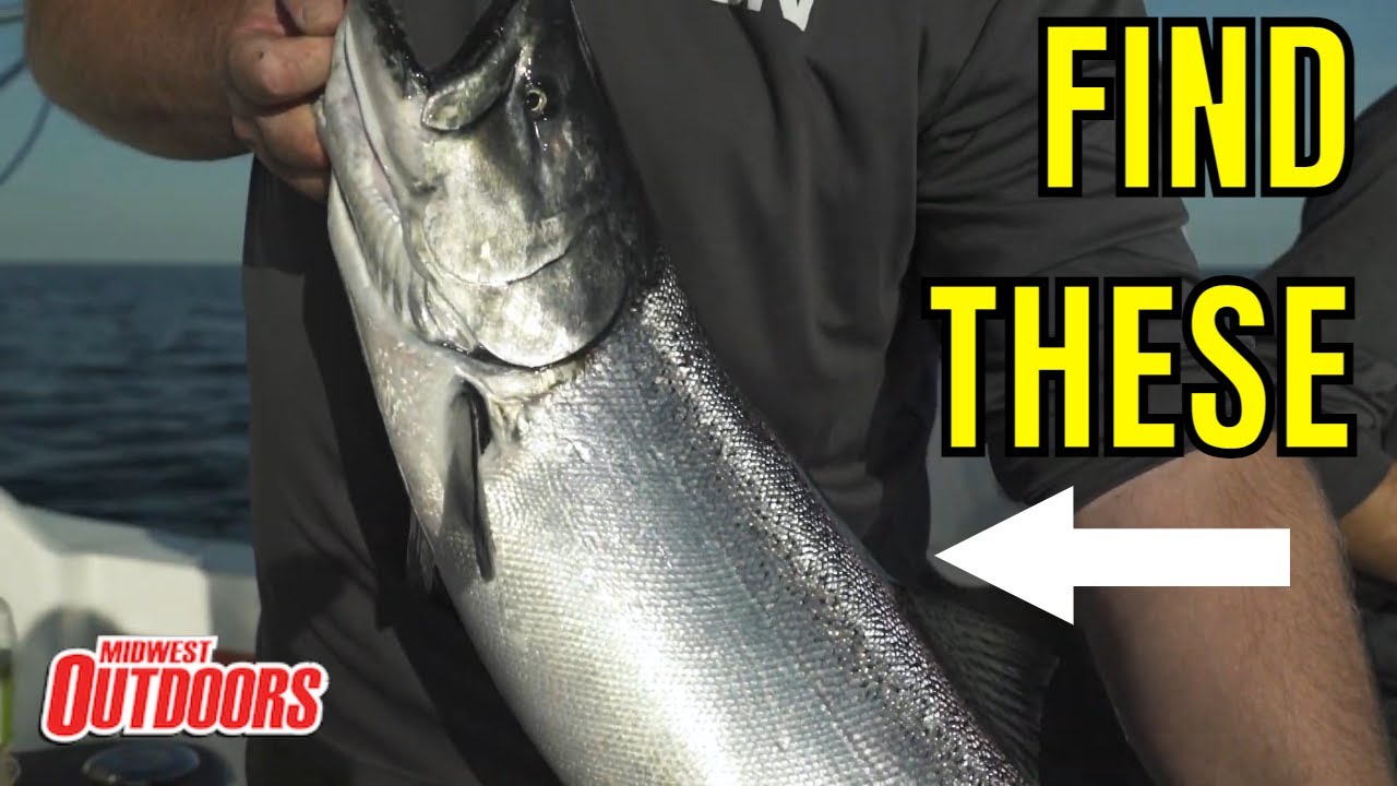 How to Locate Lake Trout and Salmon on Lake Michigan