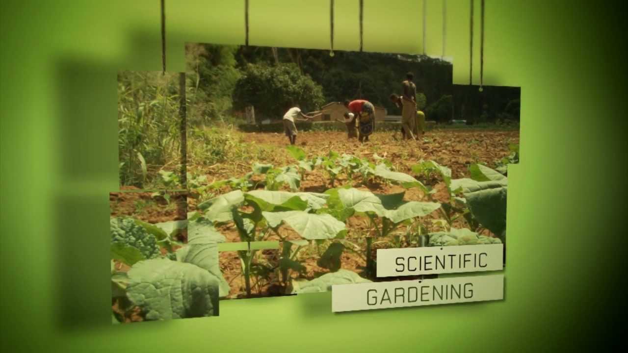Riverside Farms Zambia