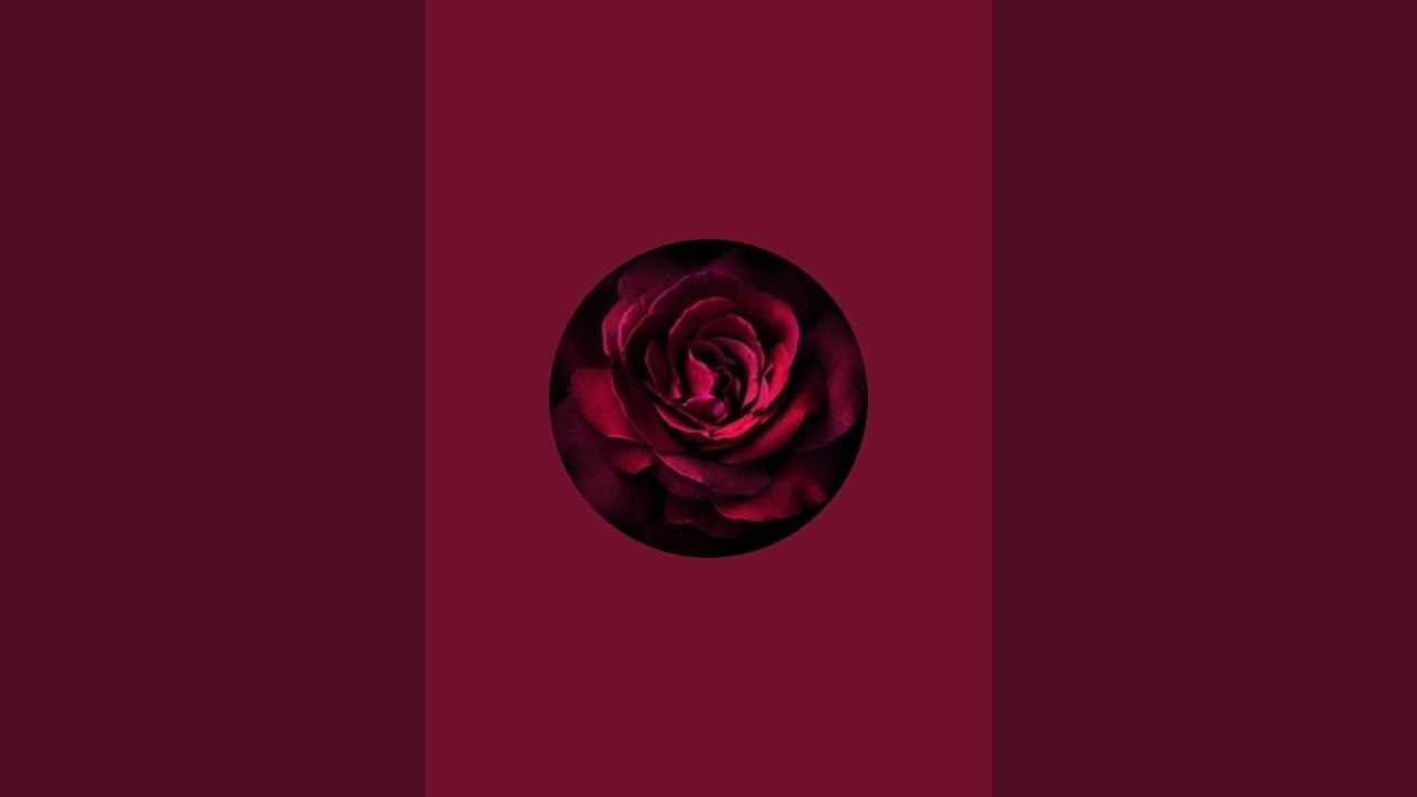 💫💫jewellery collection subscribe my channel new collection watch ✨✨✨