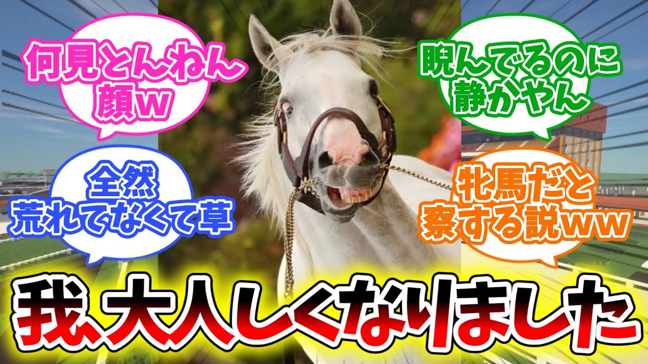 『【ゴルシ】繁殖牝馬の前だと急に大人しいやつ』に対するみんなの反応集【競馬】
