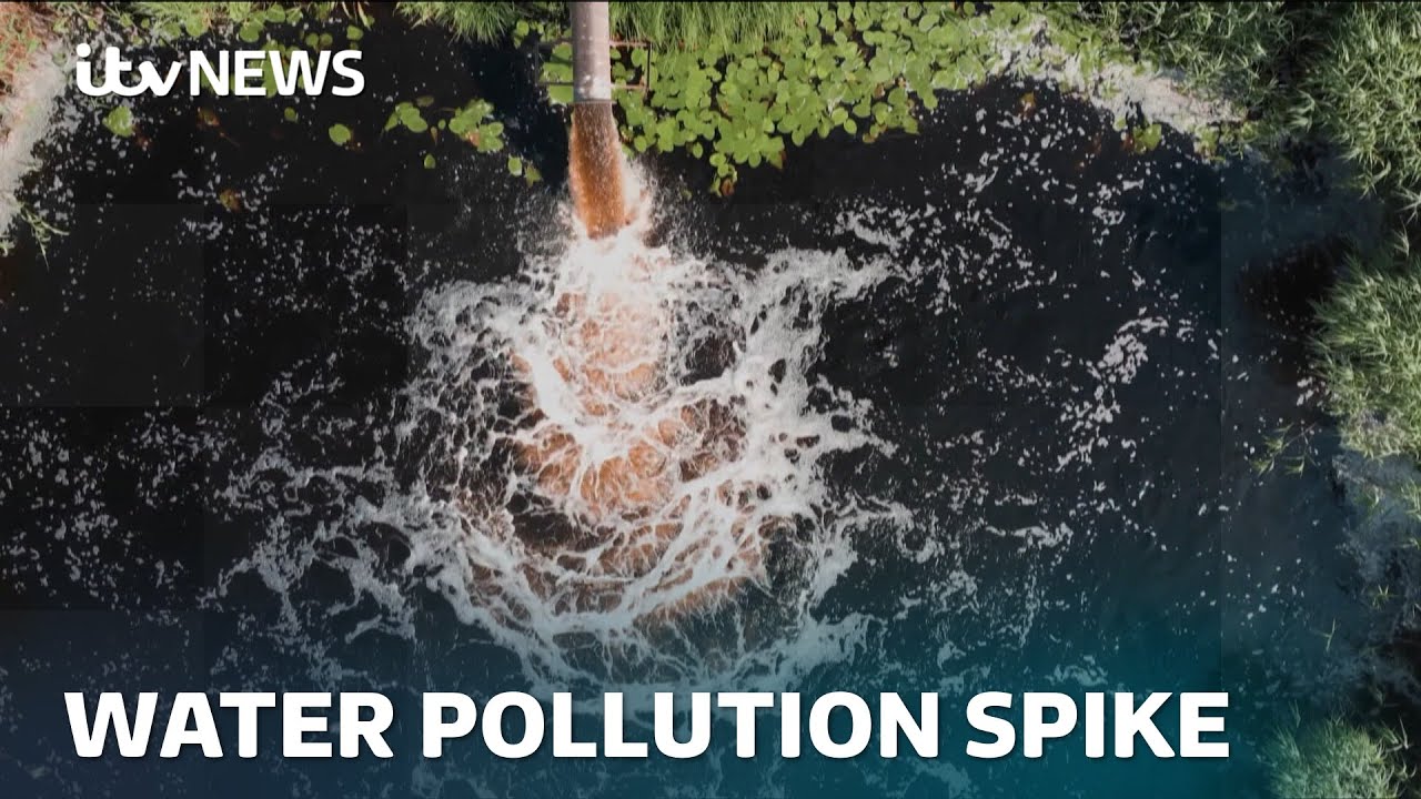 Serious water pollution incidents in England up by 60% last year | ITV News