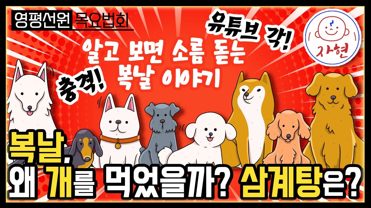개 같은 복날, 개는 억울하다 _ 복날의 숨겨진 유래와 충격적인 진실 ⭐자현스님 영평선원 목요법회