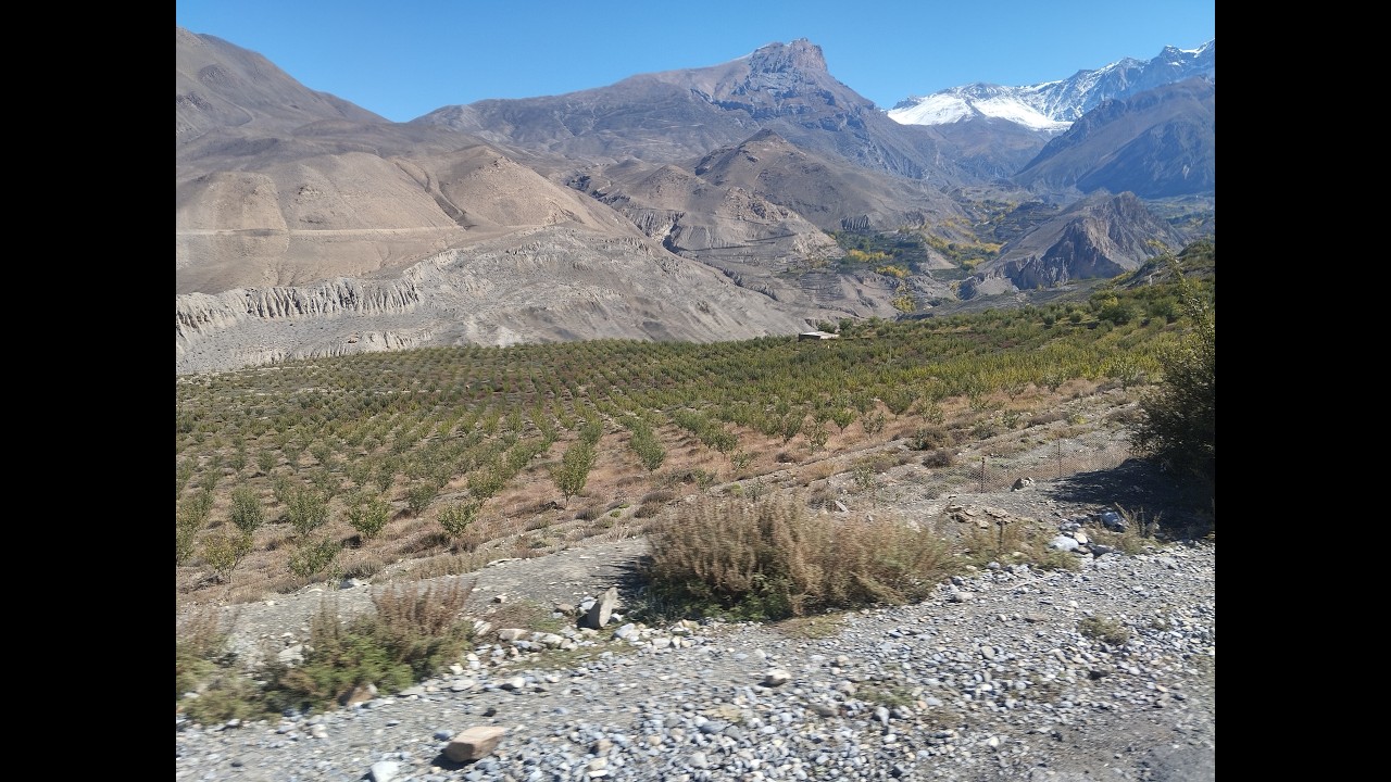 Our Nepal Trip