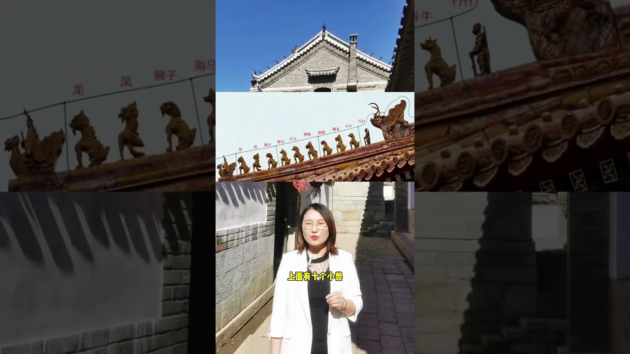 闲的五脊六兽？什么是五脊六兽？#歷史 #講解
