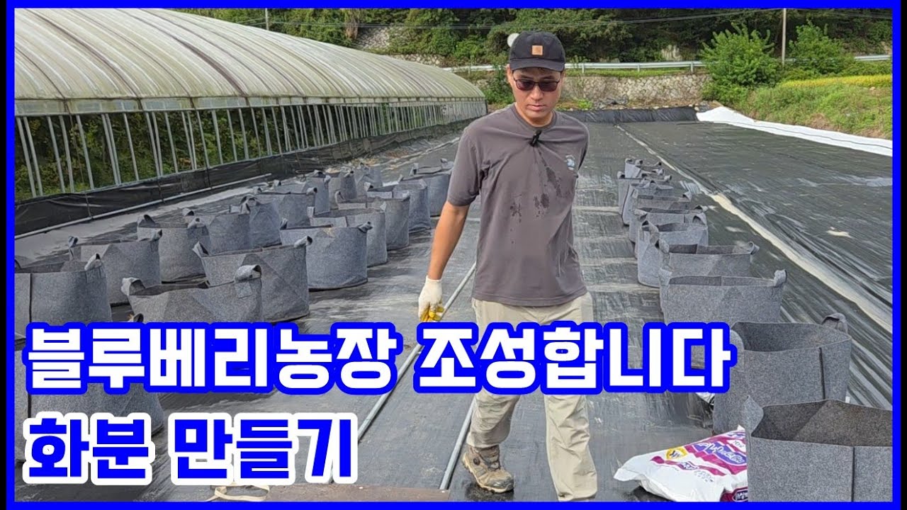 블루베리농장 조성합니다 - 화분 만들기
