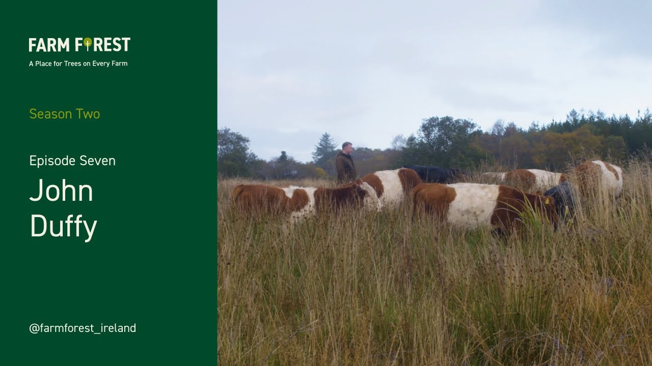 John Duffy Future Oak Farm 7- Holistic Plan Grazing, zero input & tree systems