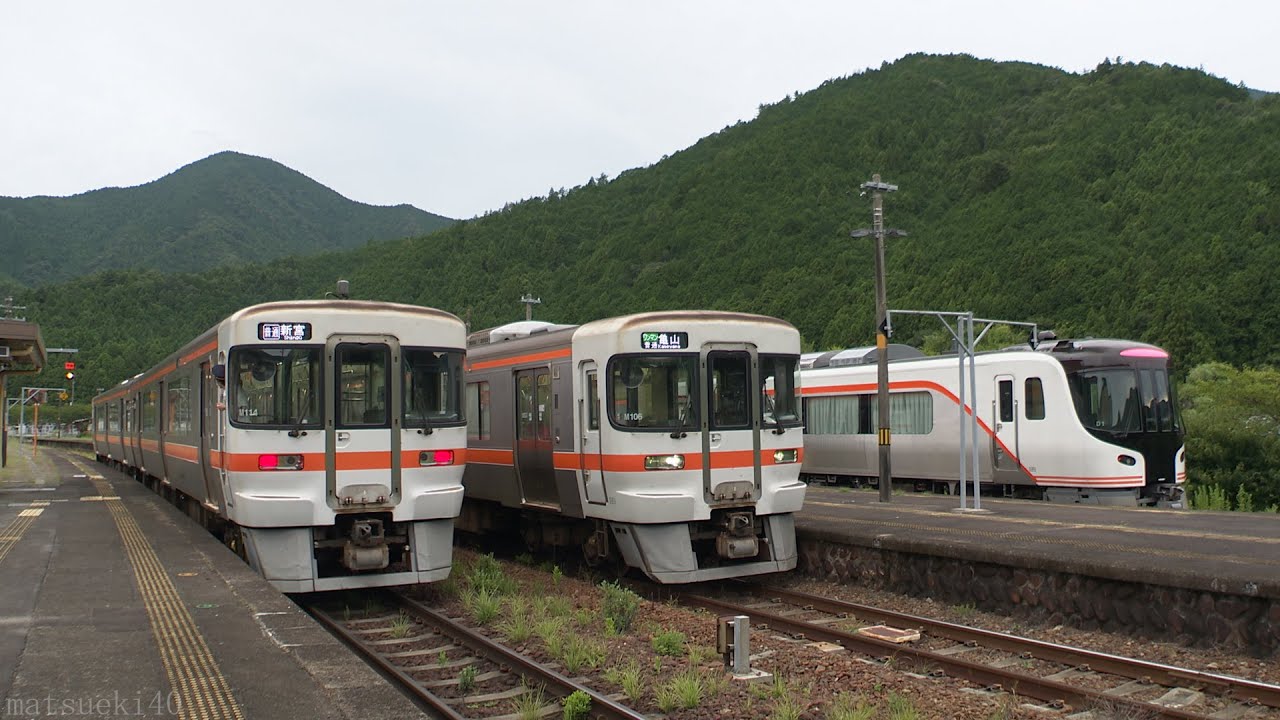 JR紀勢本線 HC85系&times;キハ25形 列車交換風景 (2020.8.22)