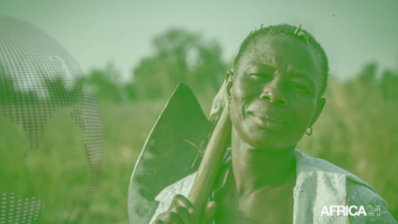 Bénin : l'agriculture face aux enjeux climatiques