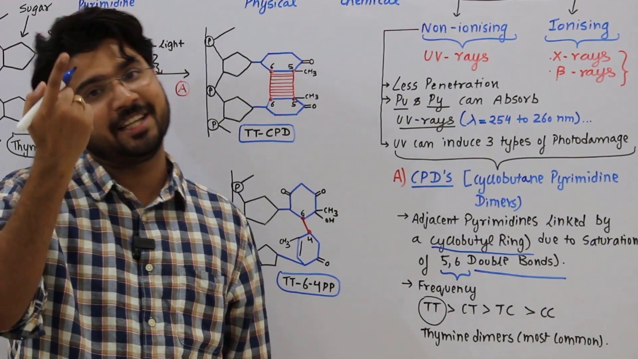 Physical mutagens #CSIR #DBT #GATE #ICMR