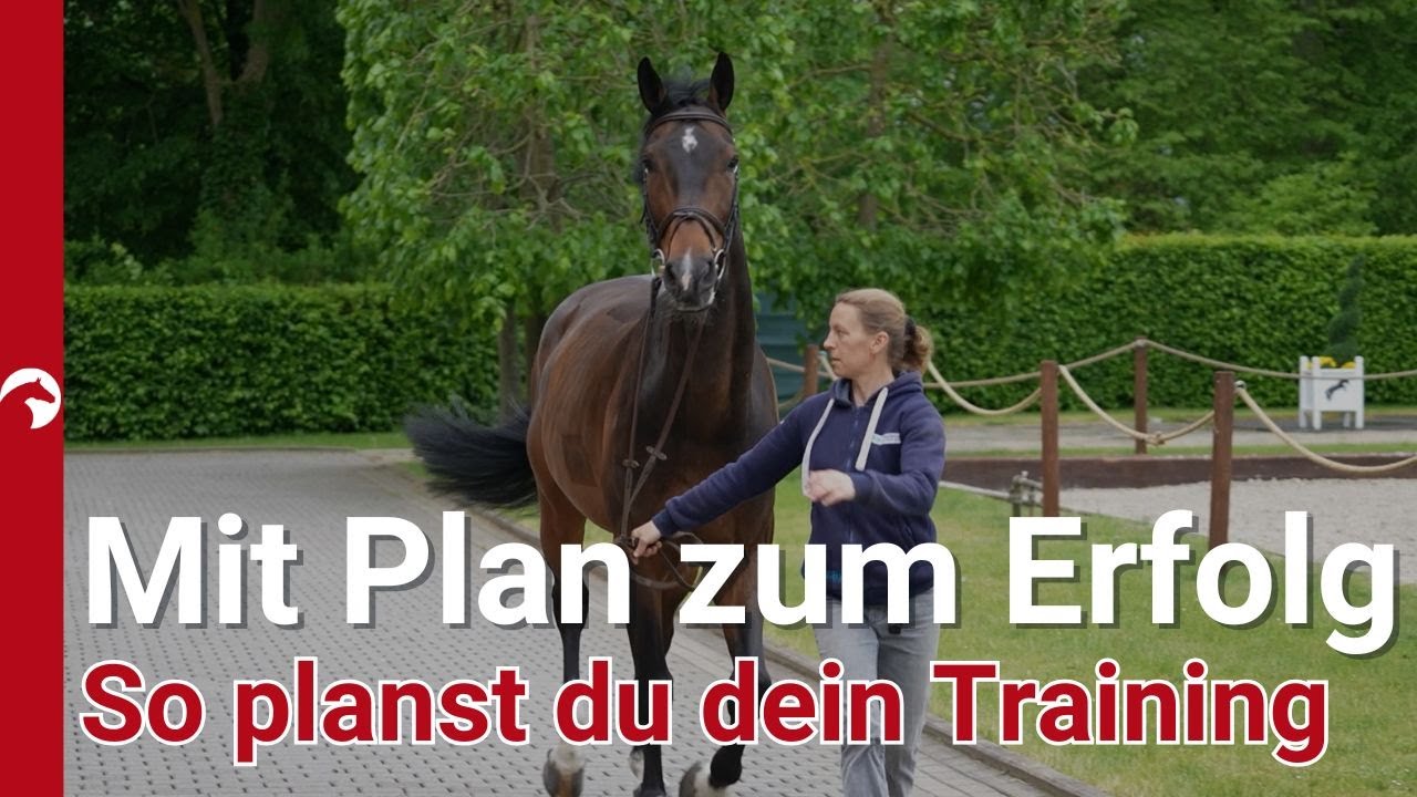 Wie sieht eigentlich der perfekte Wochenplan fürs Pferd aus? 🐎