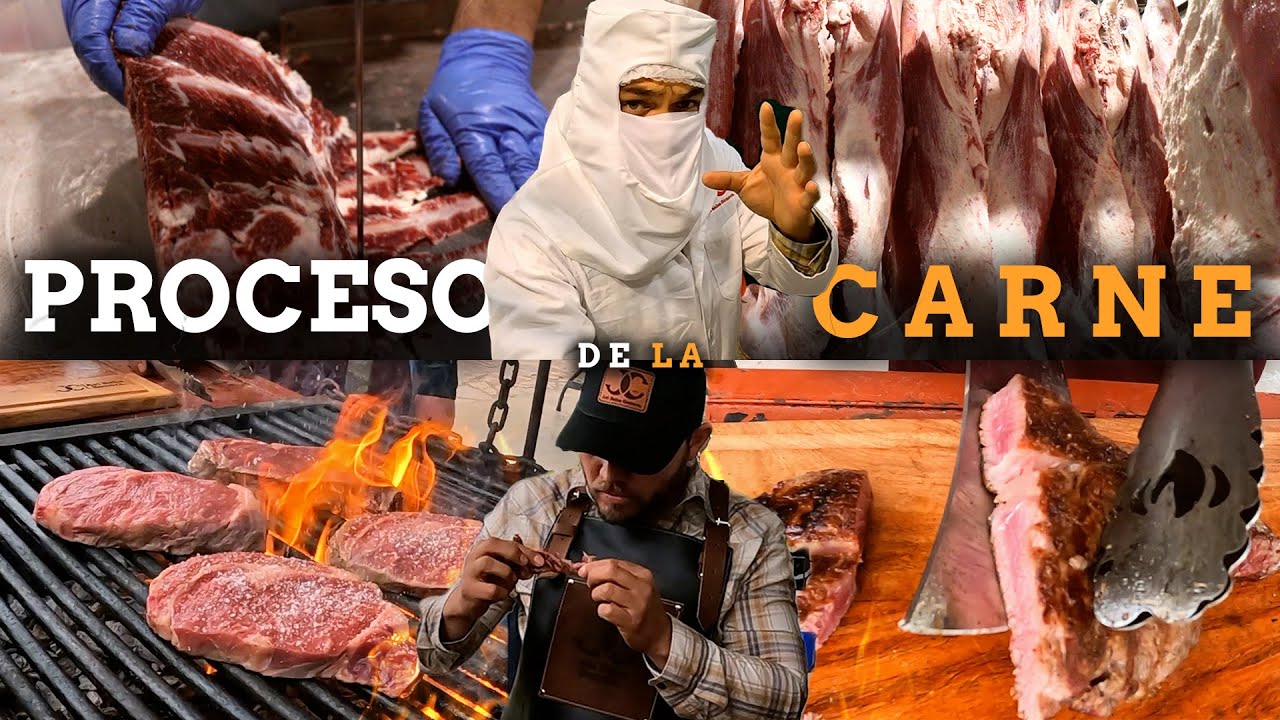 La MEJOR CARNE de MÉXICO se produce en Sonora 🥩 | Producción desde cero.