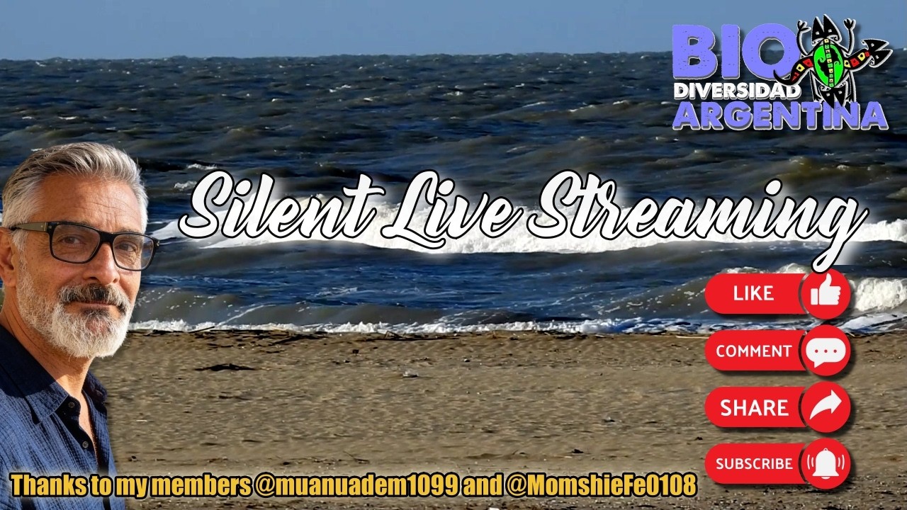 Silent Live Streaming - Buenos Aires - Argentina #relaxing #livestream #argentina