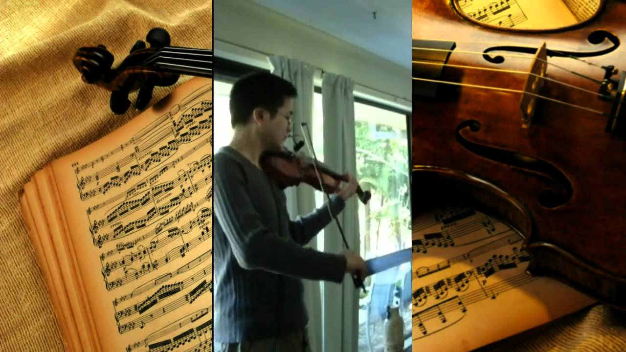 Dark Cloud Theme Violin Cover (Chris | Amaterasu)