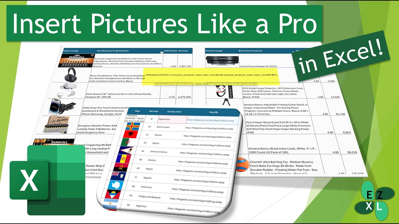 How to Insert Web Images in Excel | How to Use the IMAGE Function