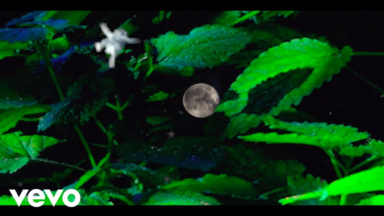 Psycrain - Zylokalyn ft. Rita El Jebari
