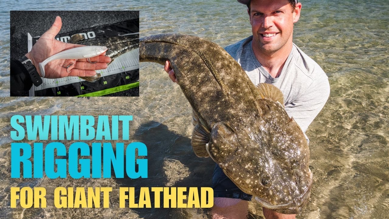 Rigging big soft plastic SWIMBAITS for GIANT FLATHEAD