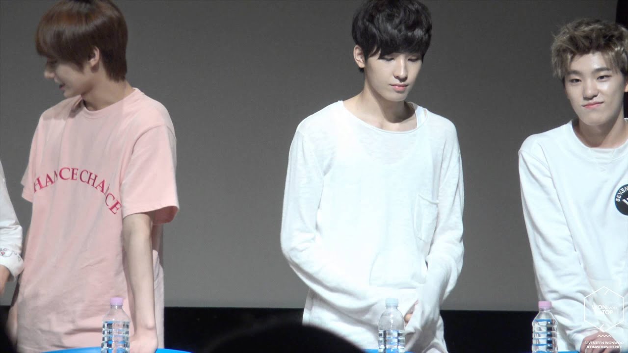 20150802 광주 팬사인회 - 세븐틴 원우 (SEVENTEEN WONWOO) FANCAM