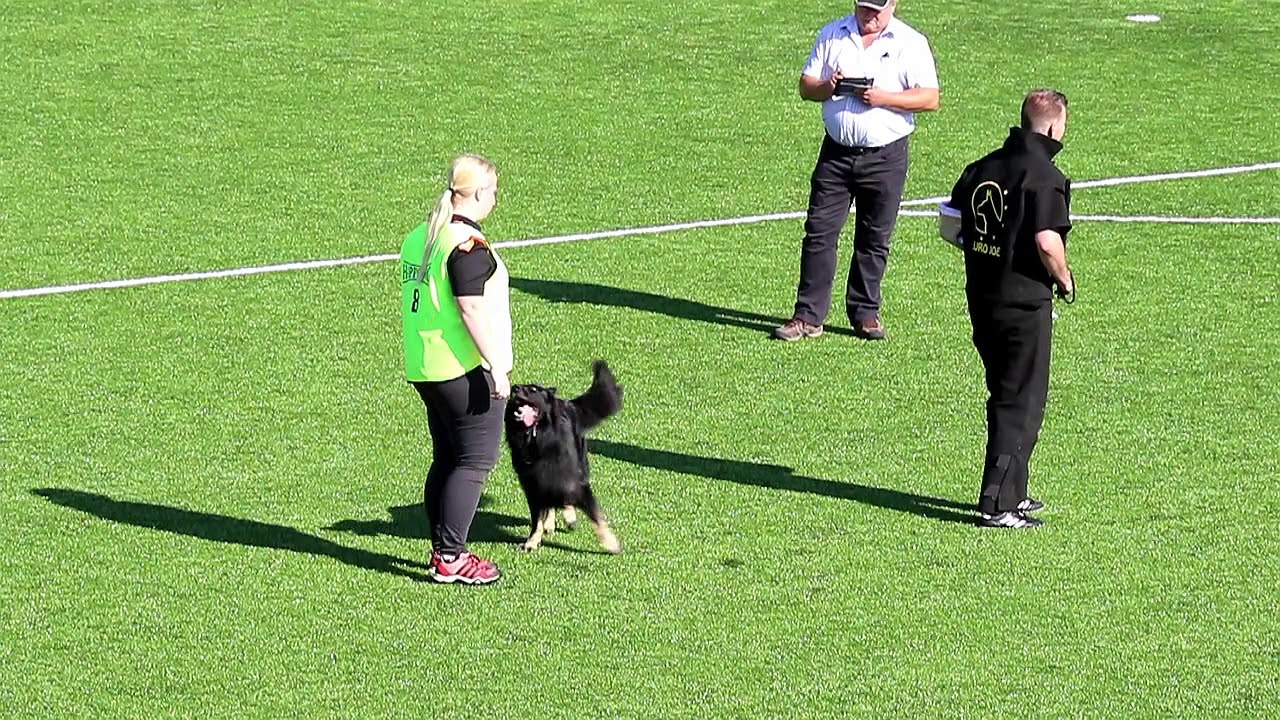 NIAK 2017 Tessa Ringelberg SHADOW VAN HAMERSSLAG Protection 81P